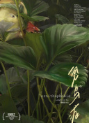 探索武侠传说：如何在游戏中成为顶尖高手